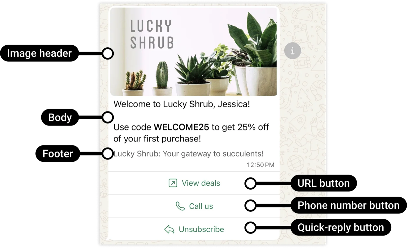 Anatomy of a WhatsApp template message: image header, body, footer, URL button, phone number button and quick-reply button